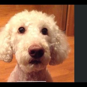 Meet your Posher, Deborah